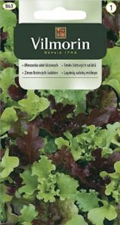Vilmorin CLASSIC Směs listových salátů Sladký Mesclun 0,5 g